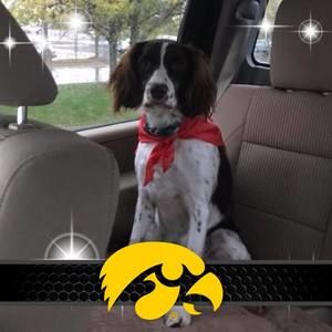 Meet your Posher, Amy